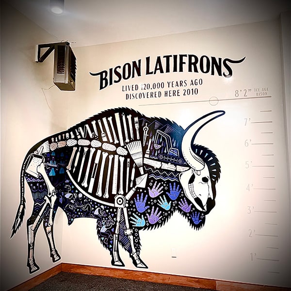 Limey Environments - Bison